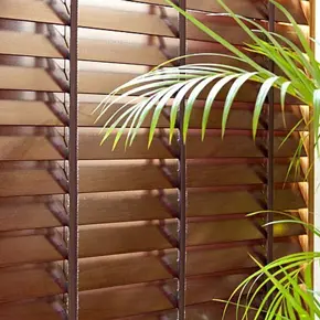 blind example for Eloquent Blinds