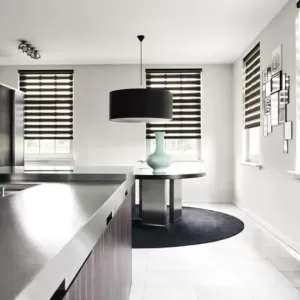 Skyros Zebra Blinds main image