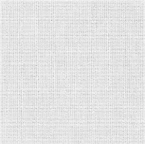 Proto Light-Filtering Roller Blinds main image